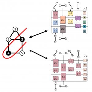 Symmetries unlock hidden patterns in quantum algorithms